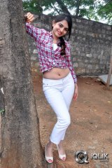 Sheena Shahabadi at Nuvve Naa Bangaram Press Meet